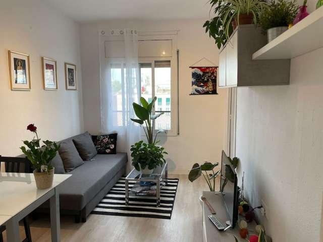 Apartamento de 1 dormitorio en alquiler en La Barceloneta