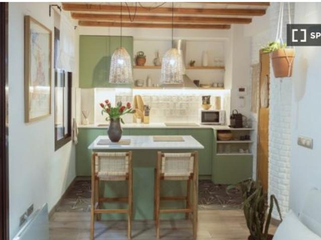 Apartamento de 1 dormitorio en alquiler en La Barceloneta, Barcelona