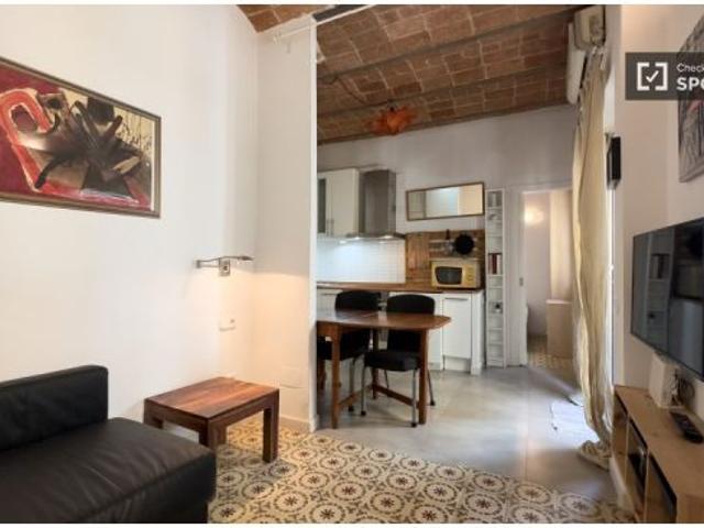 Apartamento de 1 dormitorio en alquiler en La Barceloneta, solo para profesionales, se admiten parej