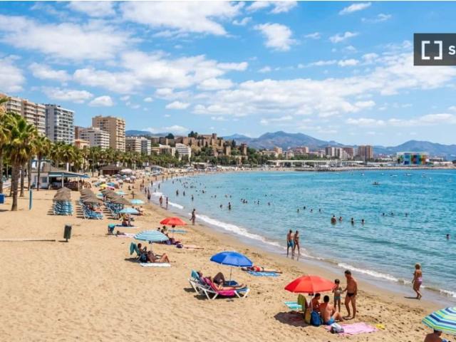 Apartamento de 1 dormitorio en alquiler en La Malagueta, Málaga