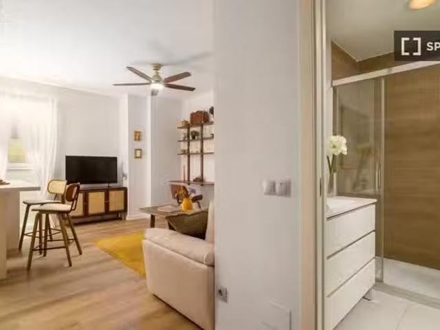Apartamento de 1 dormitorio en alquiler en La Malagueta, Málaga