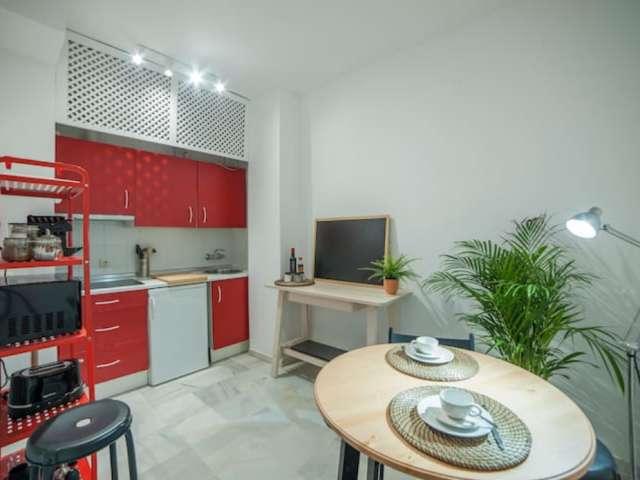 Apartamento de 1 dormitorio en alquiler en Museo, Sevilla