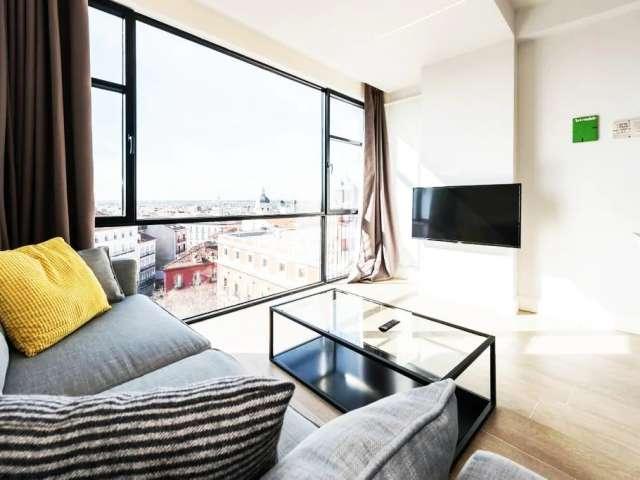 Apartamento de 1 dormitorio en alquiler en Sol, Madrid