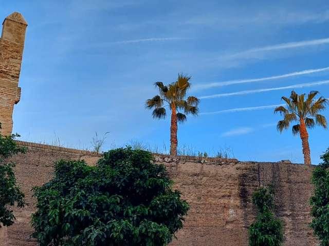 Apartamento de 1 dormitorio en alquiler en San Gil, Sevilla