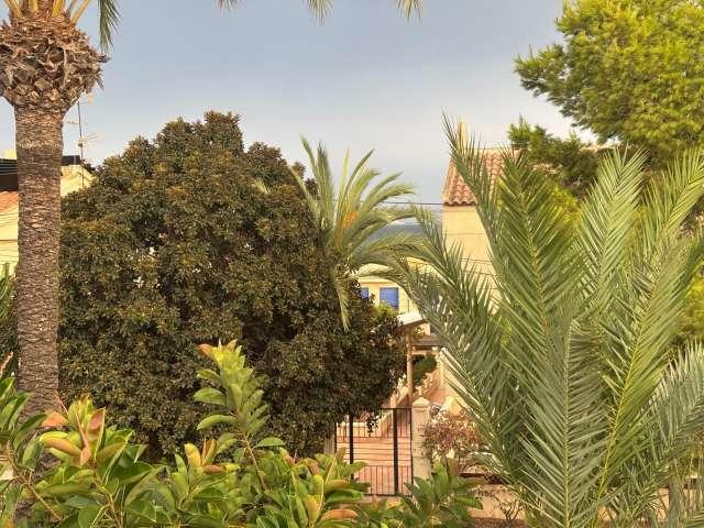 Apartamento de 1 dormitorio en alquiler en Santa Pola