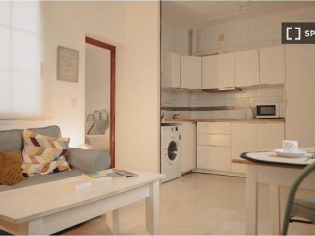 Apartamento de 1 dormitorio en alquiler en Sevilla