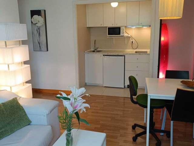 Apartamento de 1 dormitorio en Palacio, Madrid