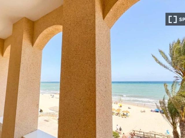 Apartamento de 1 dormitorio en alquiler en Pilar de la Horadada