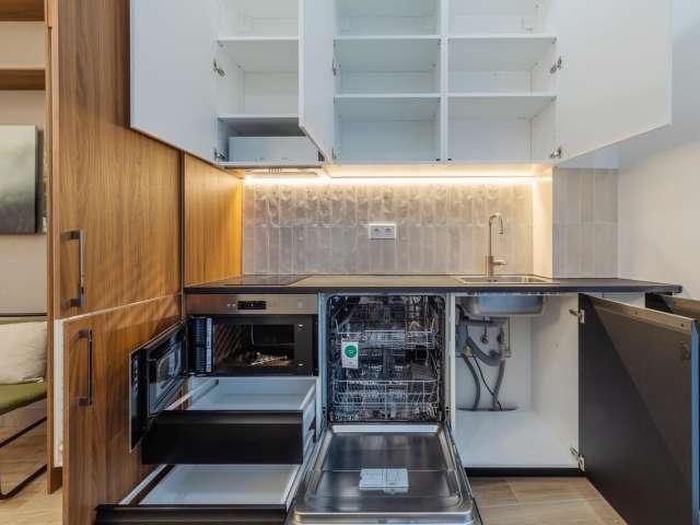 Apartamento de 1 dormitorio en alquiler en Puerta del Ángel