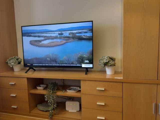 Apartamento de 1 dormitorio en alquiler en Rejas, Madrid