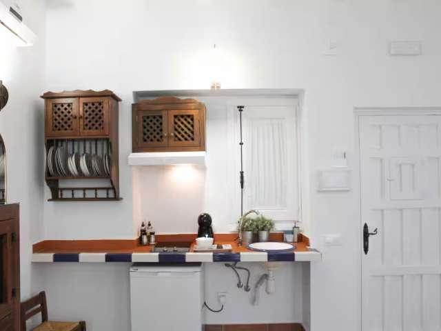 Apartamento de 1 dormitorio en alquiler en Triana, Sevilla