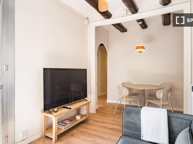Apartamento de 1 dormitorio en Sant Pere, Barcelona