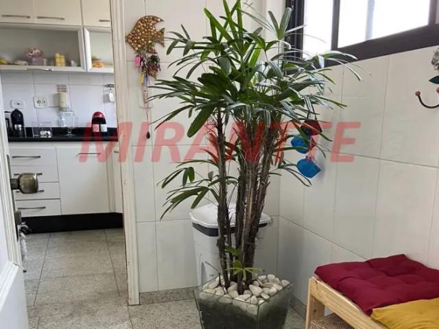 Apartamento de 200m² com 3 quartos em Jardim Japão