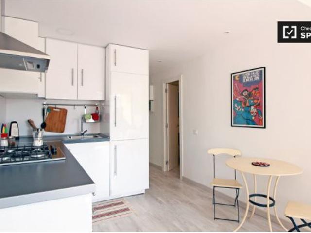 Apartamento de 2 dormitorios con aire acondicionado y balcón en alquiler en El Raval
