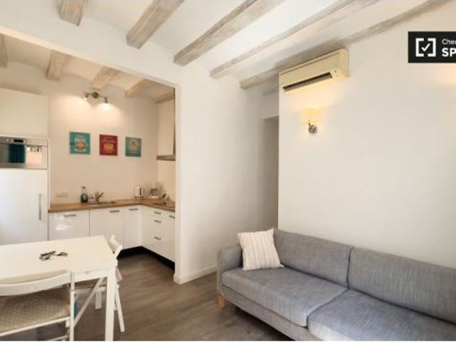 Apartamento de 2 dormitorios en alquiler en El Raval, Barcelona
