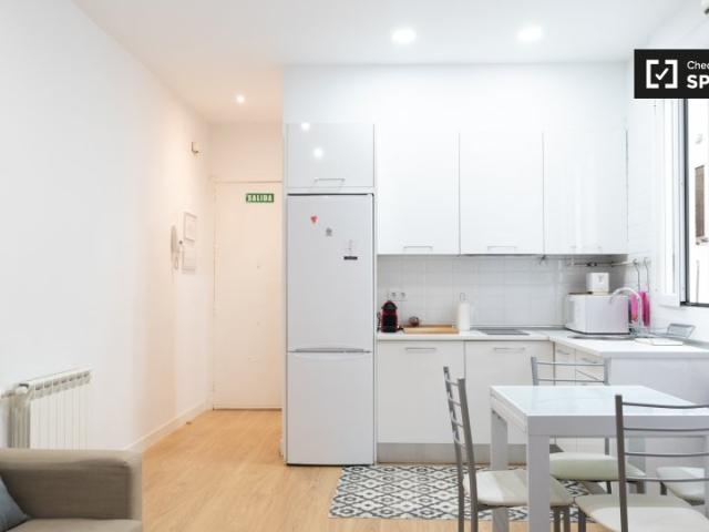 Apartamento de 2 dormitorios en alquiler en Embajadores, Madrid