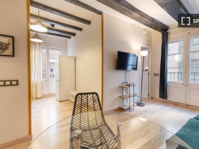 Apartamento de 2 dormitorios en alquiler en La Barceloneta, Barcelona