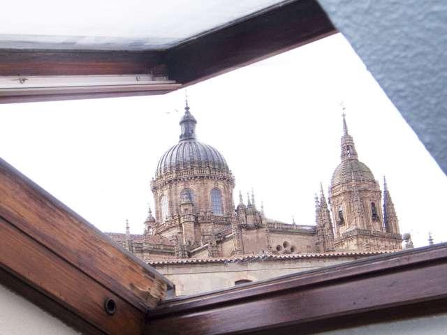 Apartamento de 2 dormitorios en alquiler en Salamanca