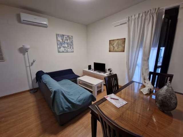 Apartamento de 2 dormitorios en alquiler en Triana, Sevilla