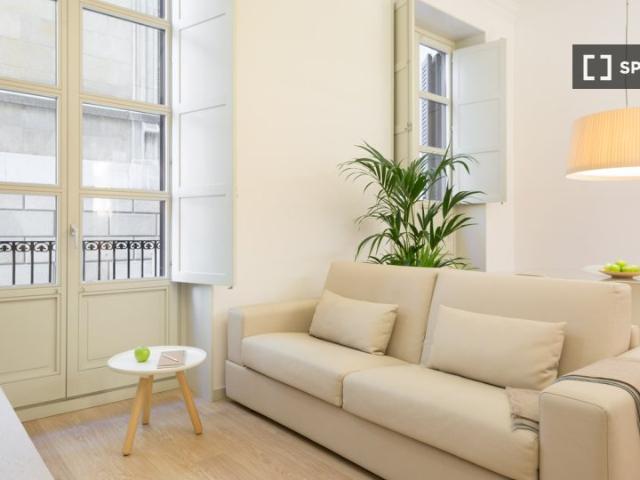 Apartamento de 2 habitaciones en alquiler en El Gòtic, Barcelona
