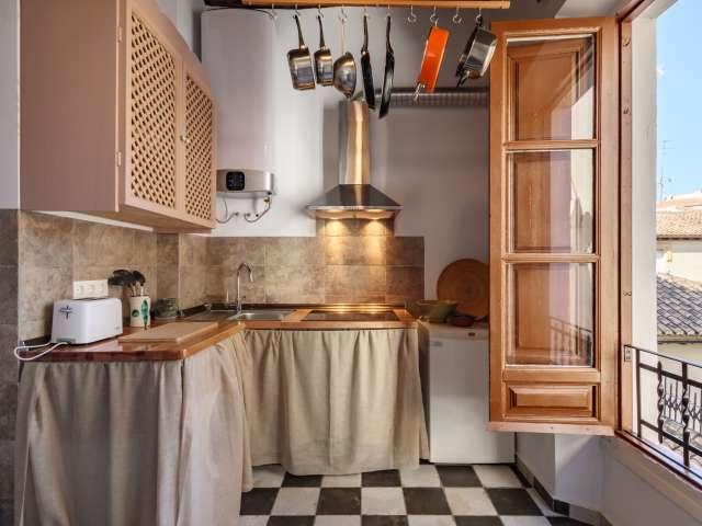 Apartamento de 2 habitaciones en alquiler en San Matías, Granada