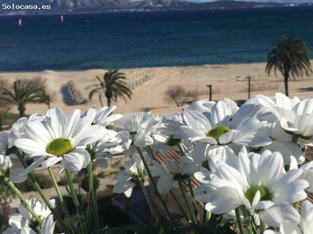Apartamento de 2 habitaciones en primera línea en Puerto Pollensa con terraza