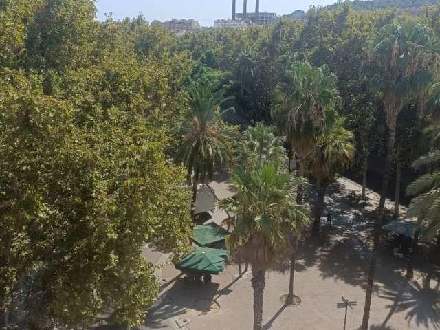 Apartamento de 3 dormitorios en El Raval, Barcelona
