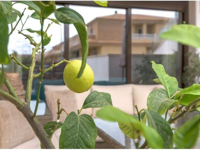 Apartamento de 3 dormitorios en San Pedro del Pinatar