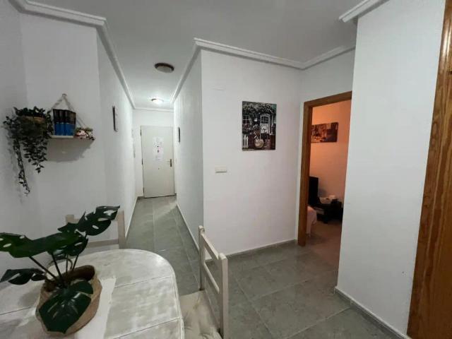 Apartamento de alquiler en Zona Playa de los Locos, Torrevieja