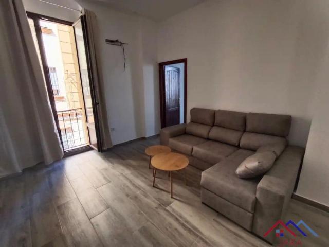 Apartamento de alquiler en Centro, Jerez de la Frontera