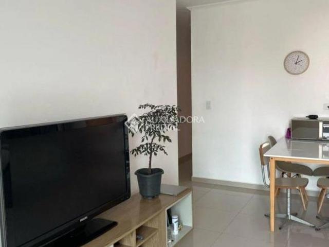 Apartamento do tipo sem condomínio com 44m² na Vila Alzira, em Santo André