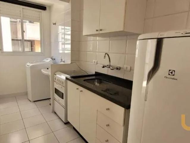 Apartamento em Bigorrilho para Aluguel – AP0789 PADU