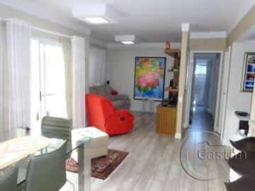 Rua Darnilo Martins Pereira, Vila Oratório, São Paulo, São Paulo