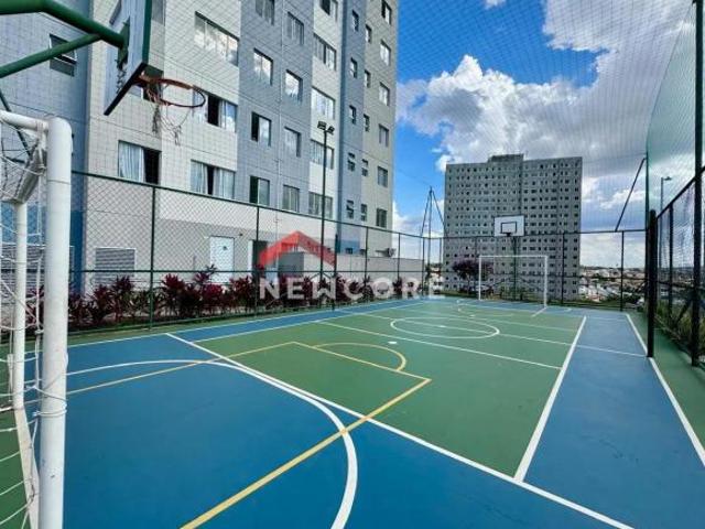 Apartamento em Rua César Salles Barbosa Jardim dos Comerciários Venda Nova Belo Horizonte/MG