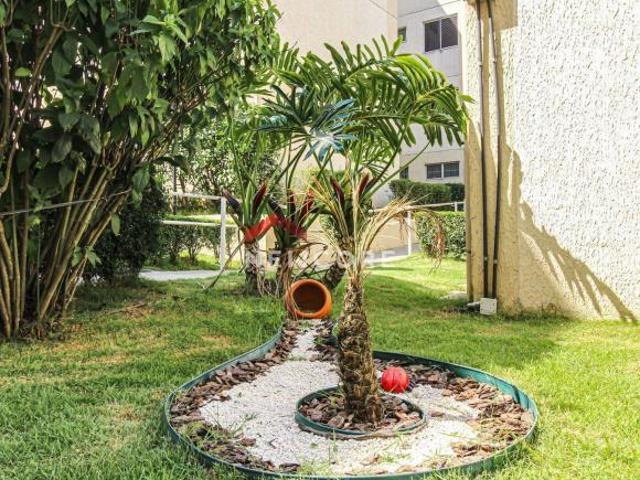 Apartamento em Rua São José de Mossamedes Núcleo Lageado São Paulo/SP