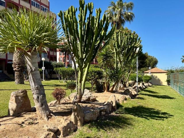 Apartamento en venta en Torrevieja Alicante