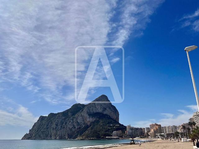 Apartamento en Venta en Zona Levante Playa Fossa