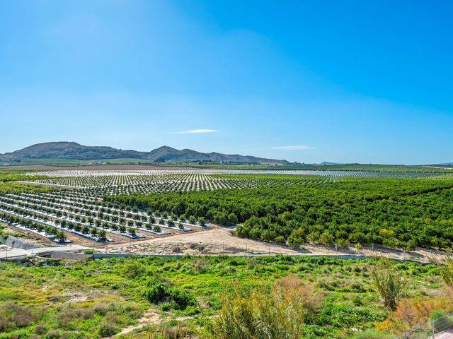 Apartamento en venta en Algorfa, Alicante