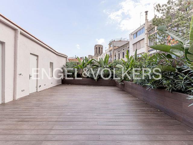 Piso en venta en Barcelona, Gòtic. Exclusiva joya con terraza soleada. Pisos.