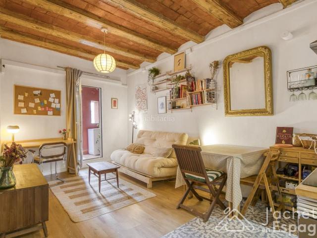Apartamento en venta en Barcelona, Raval. Piso cosy reformado con balcón exposición sudeste. Apartamentos.