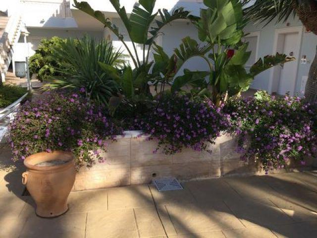 apartamento en Venta en Benissa. FTBS T4550