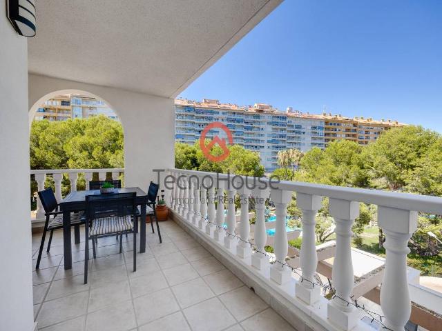 Apartamento en Venta en Campoamor