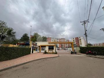 El Zulia, Norte de Santander - Vigilante