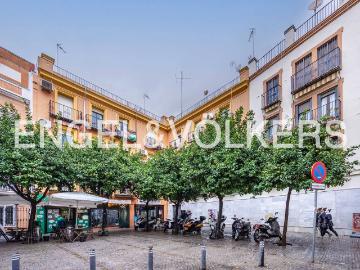 El Arenal, Sevilla, Sevilla, Sevilla, Andalucía, Andalucía