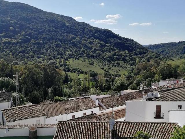 Apartamento en Venta en Grazalema