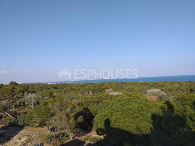 Apartamento en venta en Guardamar del Segura, Alicante Costa Blanca