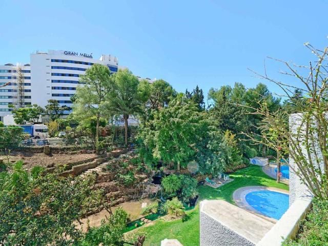 Apartamento en Venta en La Carolina Guadalpín