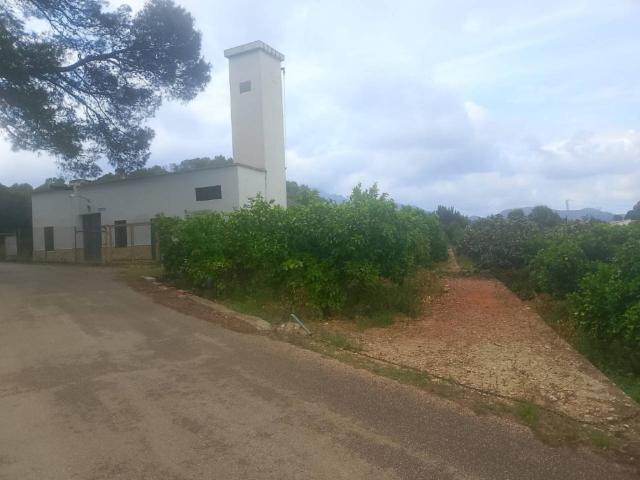 Apartamento en Venta en Palma De Gandia Valencia