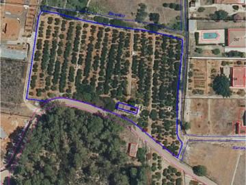 Apartamento en Venta en Palma De Gandia Valencia