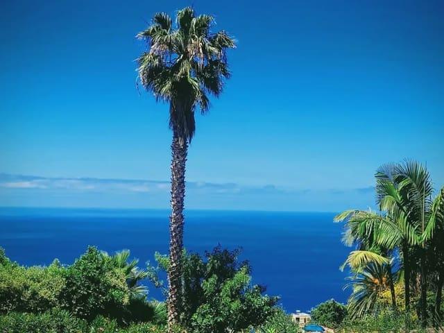 Apartamento en venta en Santa Ursula, Tenerife